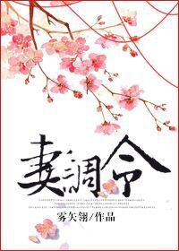 雾矢翊妻调令