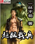 一丝不苟超级战兵