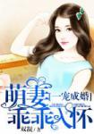 双凝一宠成婚：萌妻乖乖入怀