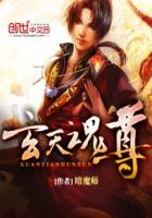 暗魔师玄天魂尊
