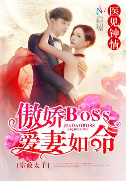 宗政太子医见钟情：傲娇BOSS爱妻如命