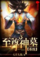 七斤九钱至尊神墓系统
