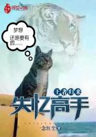 一念红尘王者归来：失忆高手