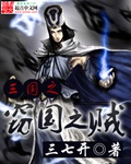 三七开三国之窃国之贼