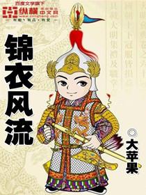 大苹果锦衣风流