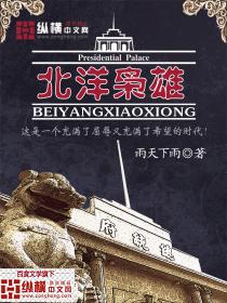 雨天下雨北洋枭雄
