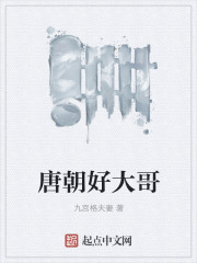 九宫格夫妻唐朝好大哥