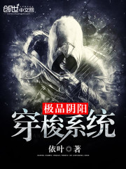 依叶极品阴阳穿梭系统