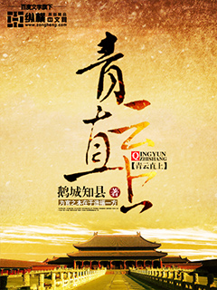 鹅城知县青云直上