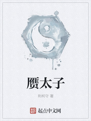 荆柯守赝太子