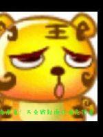 极光破晓我被大佬安排了