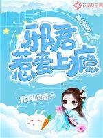 北风吹雁天降独宠：邪君惹爱上瘾