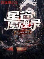 英勇无比的诺艾尔星芒魔魂录