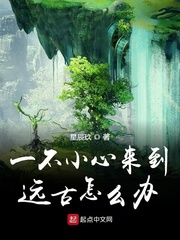 星辰玖一不小心来到远古怎么办