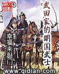 幸福来敲门武田家的明国武士