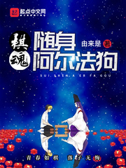 由来是棋魂：随身阿尔法狗