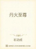 石功成丹火至尊