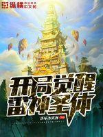 淡味冰淇淋开局觉醒雷神圣体