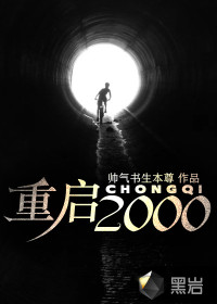 帅气书生本尊重启2000