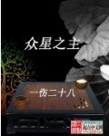 一伤二十八众星之主
