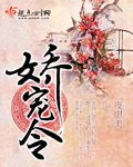 夜惠美娇宠令