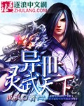 禹枫异世灵武天下