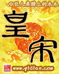 巨人肩膀上的木木皇宋