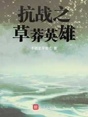 不稳定平衡抗战之草莽英雄