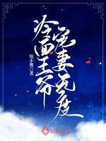 悦小舞冷面王爷宠妻无度