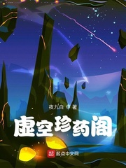 夜九白虚空珍药阁