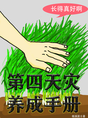 柽溪居士第四天灾养成手册