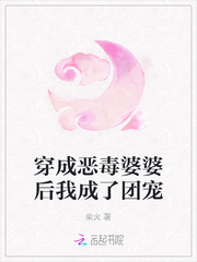 柴火穿成恶毒婆婆后我成了团宠