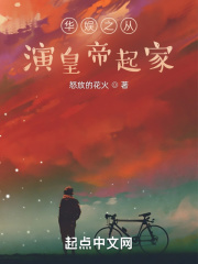 怒放的花火华娱之从演皇帝起家
