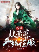 北海鸣综武：从黄蓉开始征服
