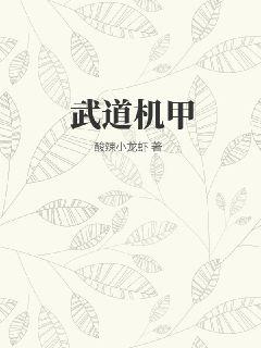 武道机甲