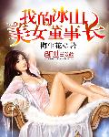 梅生花我的冰山美女董事长