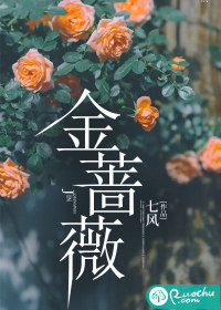 七风金蔷薇
