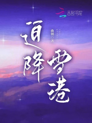 曲朝迫降雪港