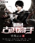 紫墨星辰极品古武高手