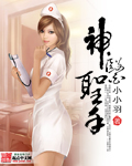 小小羽神医圣手