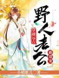 佚名叶清心启