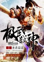 圣者晨雷极武弑神