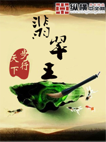 步行天下翡翠王