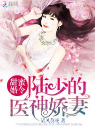 清风莫晚甜蜜婚令：陆少的医神娇妻