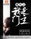 暗夜泠风重生之我是门主