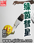 郭怒绿茵彗星