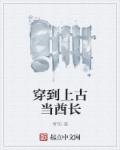 倒霉蛋修仙记