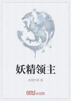妖精领主