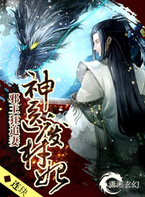 连玦神医废材妃