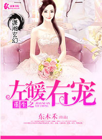 东木禾重生之左暖右宠